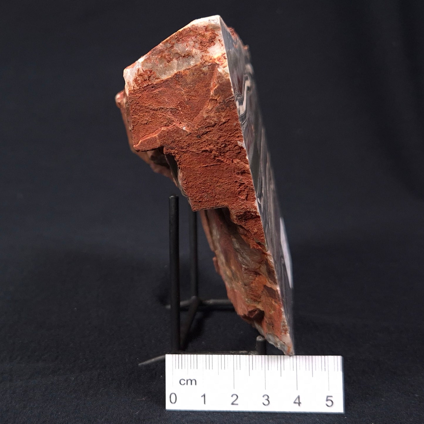 STROMATOLITE, Jerrinah Formation, Proterozoic, Australia ZJF003