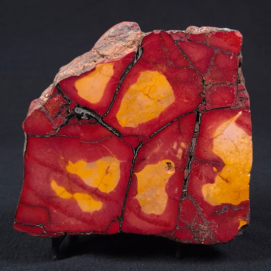 MOOKAITE, Australia YSC048