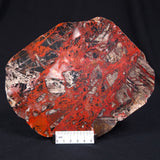 PILBARA PICASSO JASPER, Australia YSC049