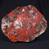 PILBARA PICASSO JASPER, Australia YSC049