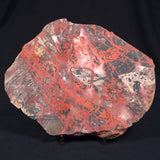 PILBARA PICASSO JASPER, Australia YSC049