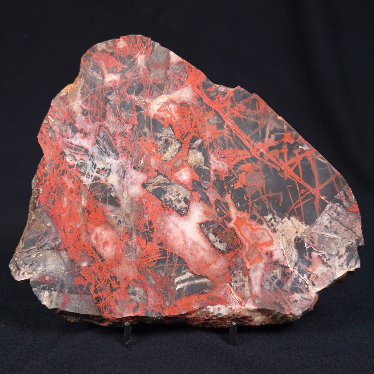 PILBARA PICASSO JASPER, Australia YSC050