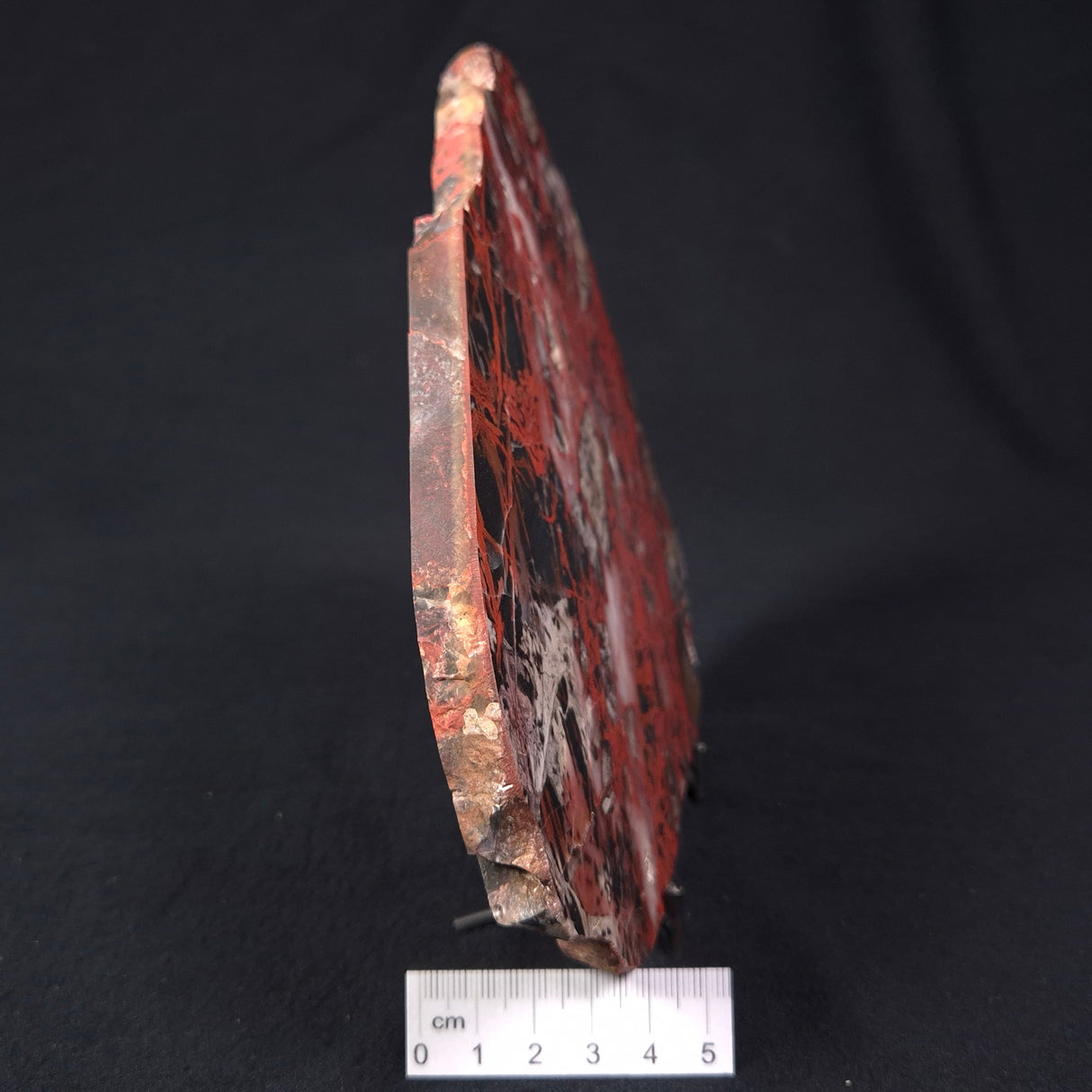 PILBARA PICASSO JASPER, Australia YSC050
