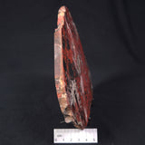 PILBARA PICASSO JASPER, Australia YSC050