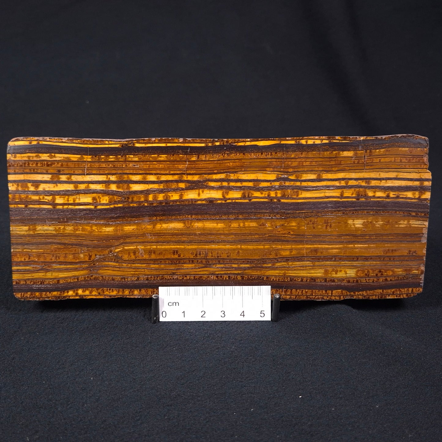 BANDED TIGER IRON, Australia YSC056