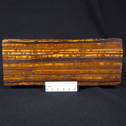 BANDED TIGER IRON, Australia YSC056