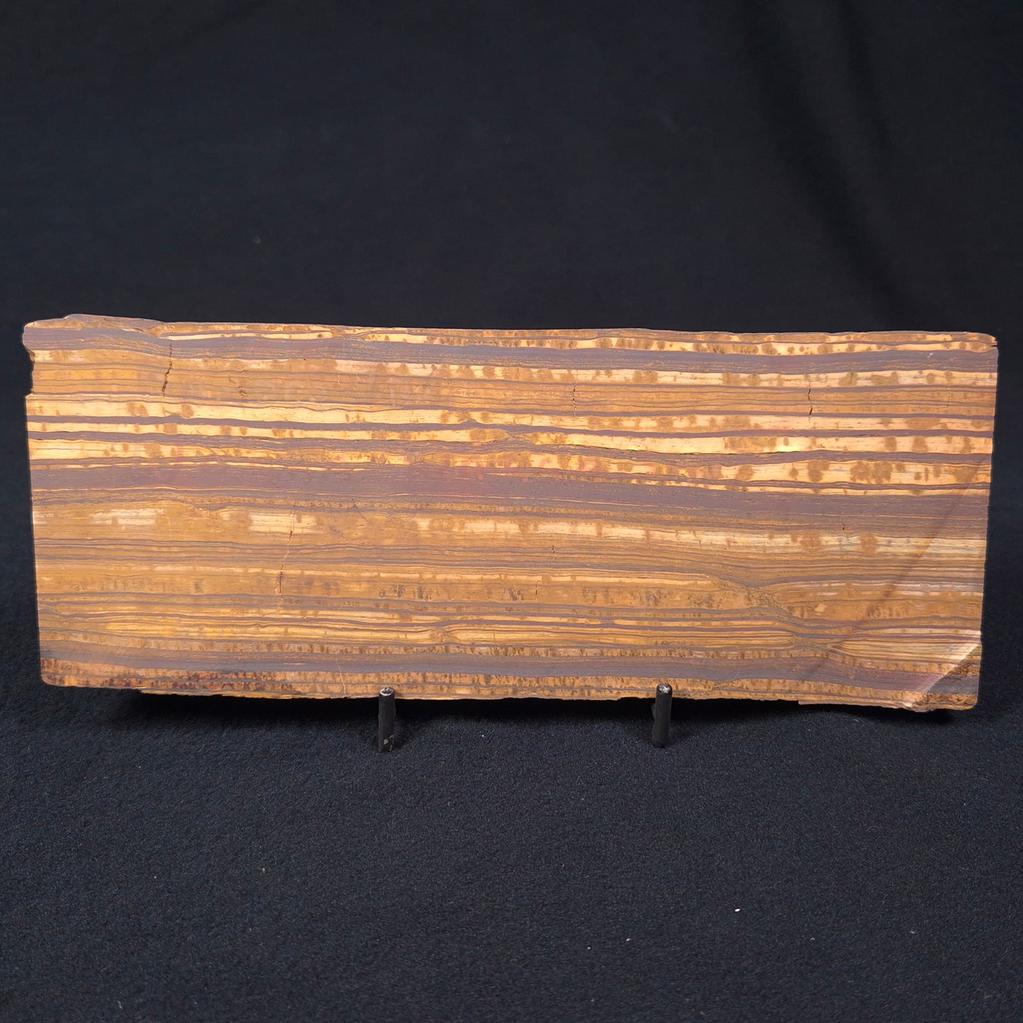 BANDED TIGER IRON, Australia YSC056