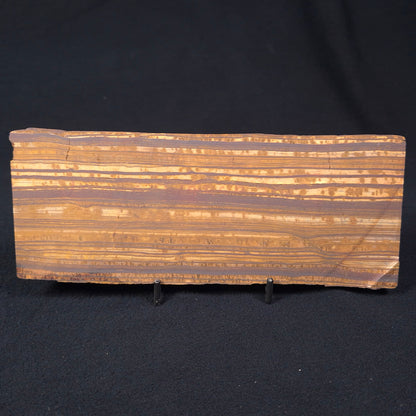BANDED TIGER IRON, Australia YSC056