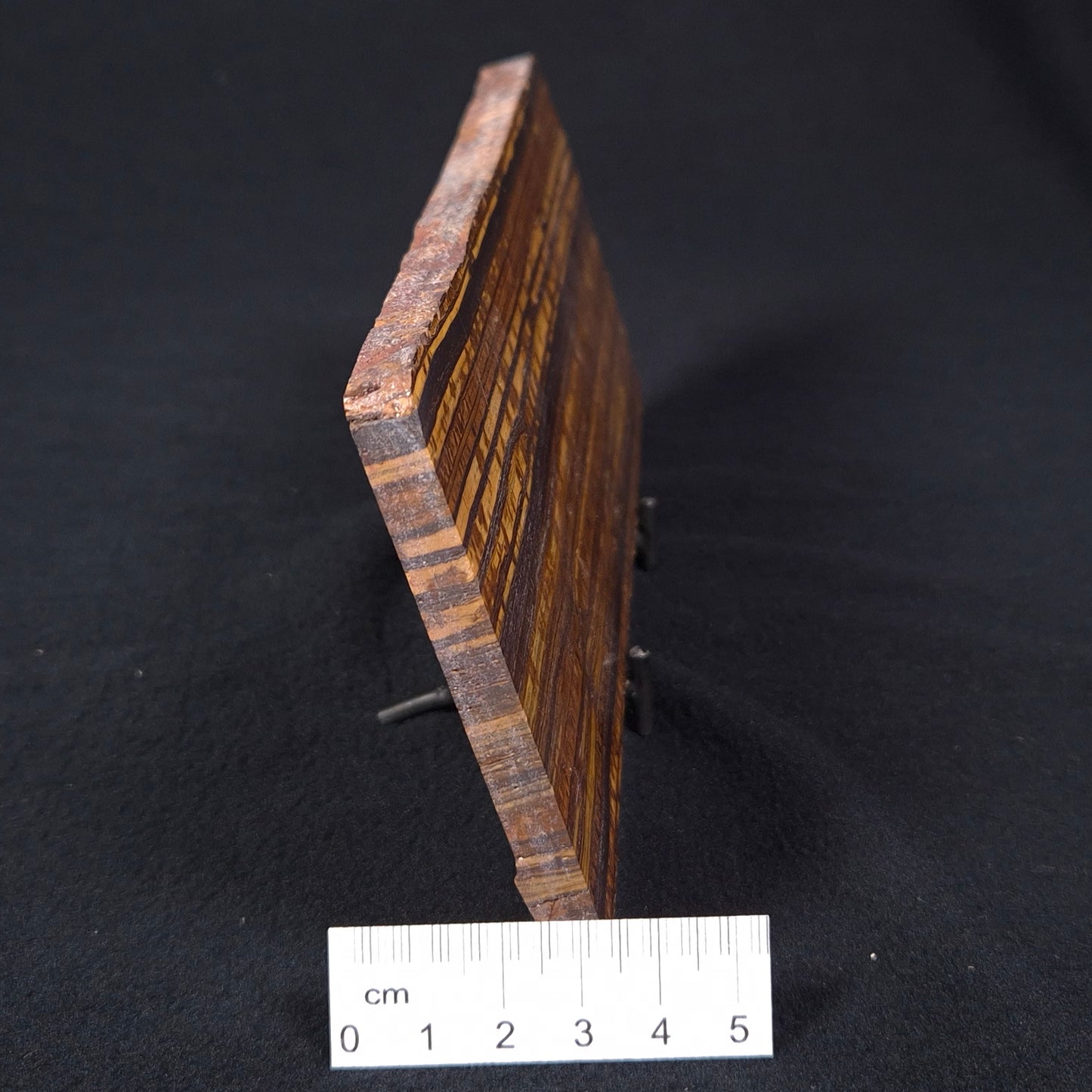 BANDED TIGER IRON, Australia YSC056