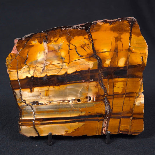 BANDED TIGER IRON MICROBIALITE, Australia YSC051