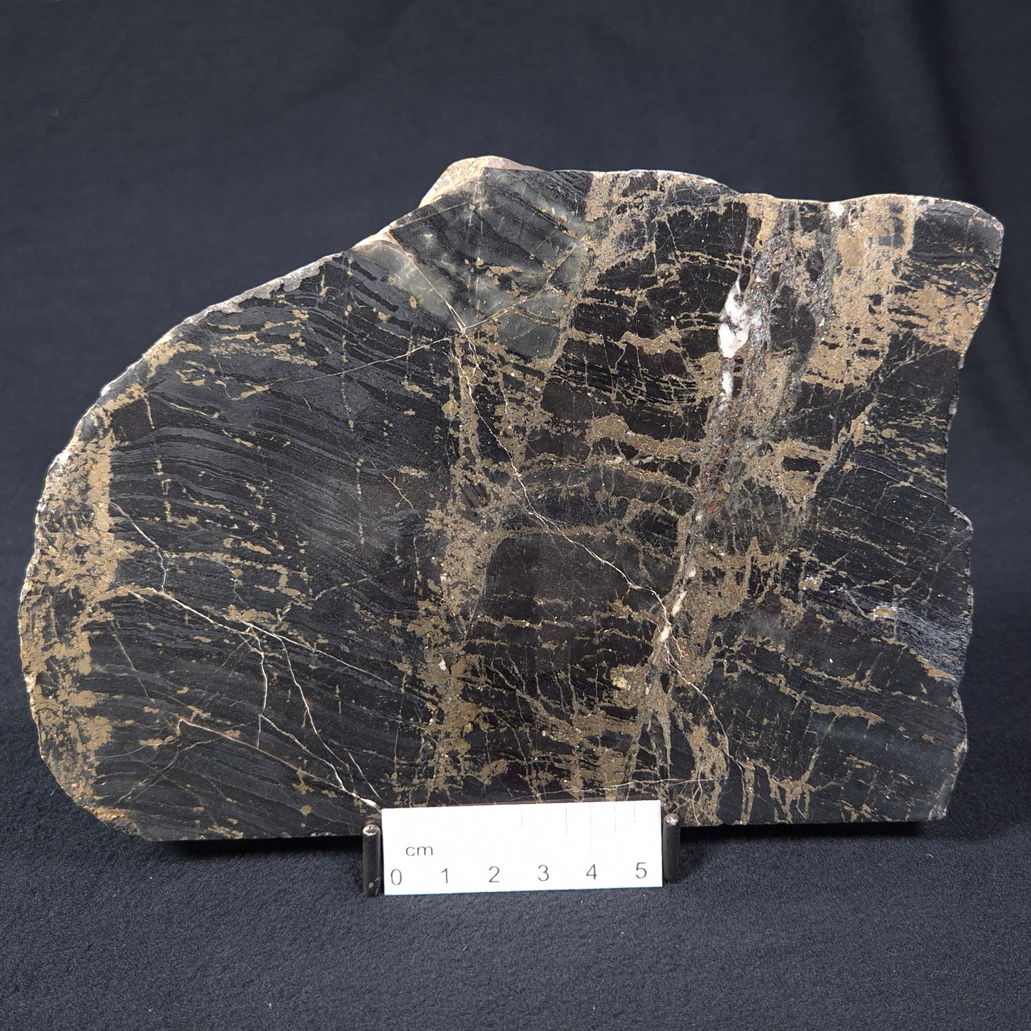 BANDED HEMATITE WITH PYRITE, Australia YSC053