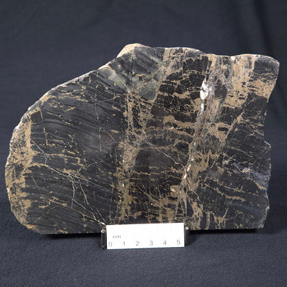 BANDED HEMATITE WITH PYRITE, Australia YSC053