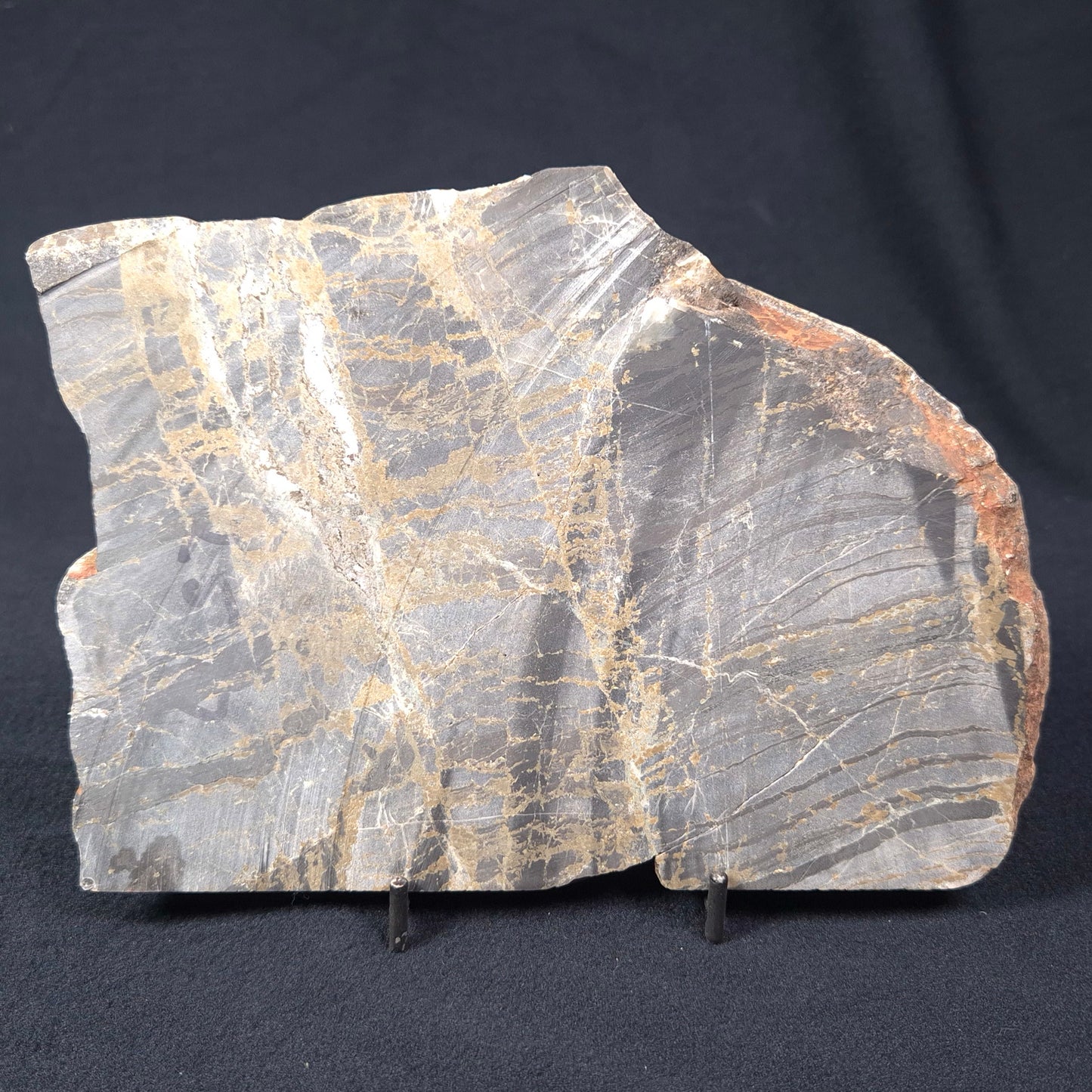 BANDED HEMATITE WITH PYRITE, Australia YSC053