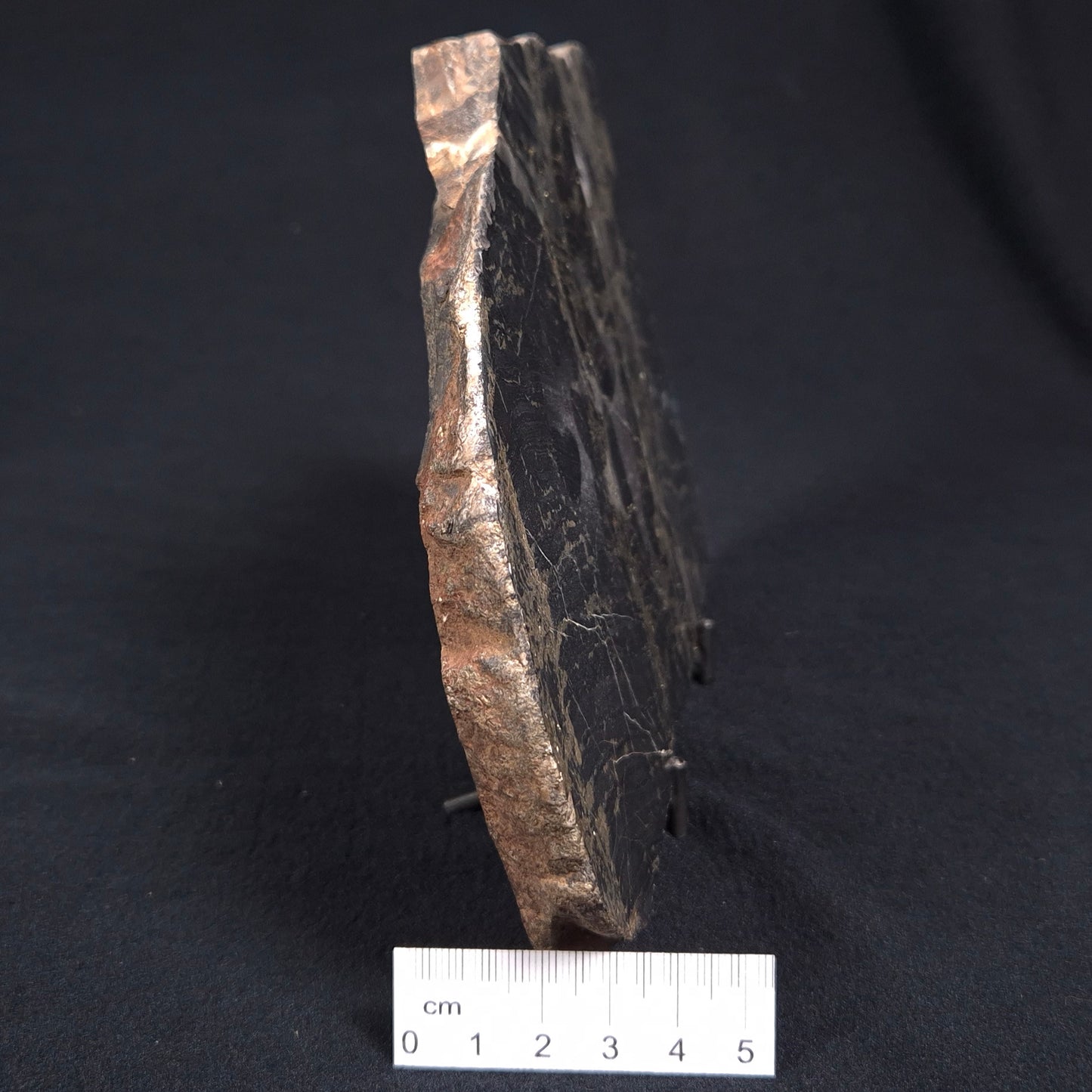BANDED HEMATITE WITH PYRITE, Australia YSC053