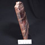 BANDED JASPER WITH HEMATITE, Australia YSC052