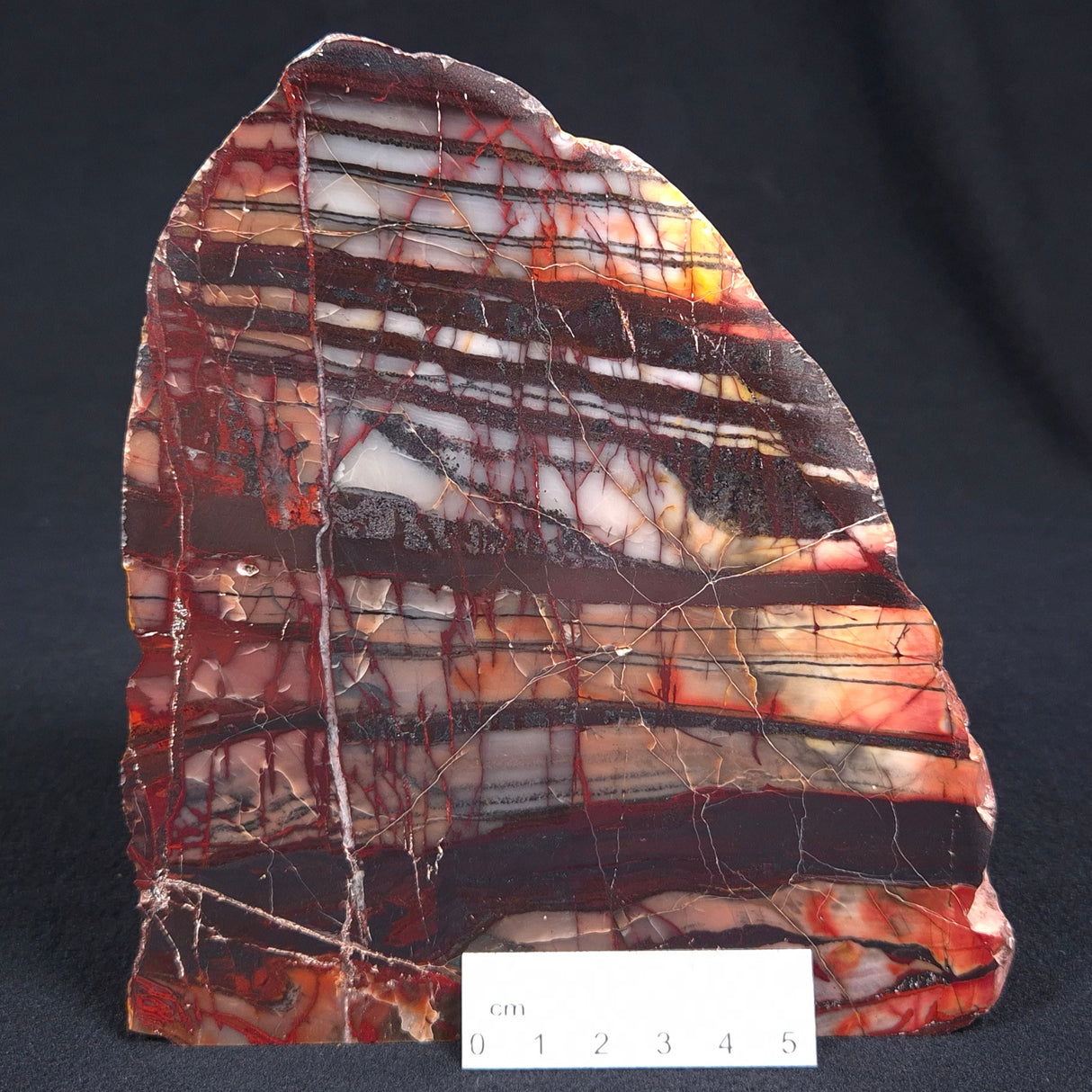 BANDED JASPER WITH HEMATITE, Australia YSC054