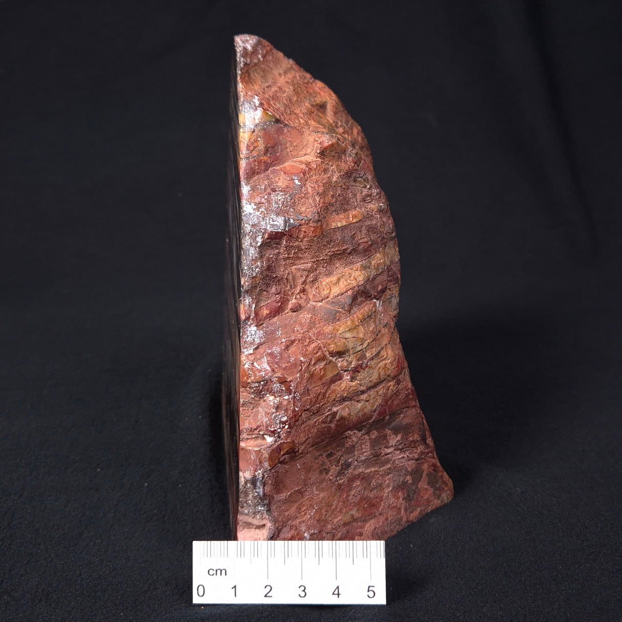 BANDED JASPER WITH HEMATITE, Australia YSC054