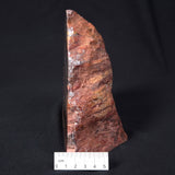 BANDED JASPER WITH HEMATITE, Australia YSC054