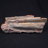 STROMATOLITE, Jerrinah Formation, Proterozoic, Australia ZJF004