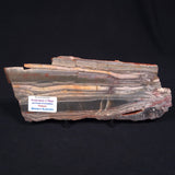 STROMATOLITE, Jerrinah Formation, Proterozoic, Australia ZJF004
