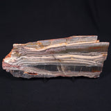 STROMATOLITE, Jerrinah Formation, Proterozoic, Australia ZJF005