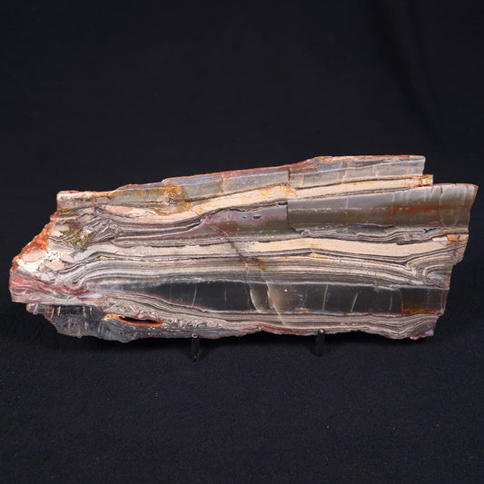 STROMATOLITE, Jerrinah Formation, Proterozoic, Australia ZJF005