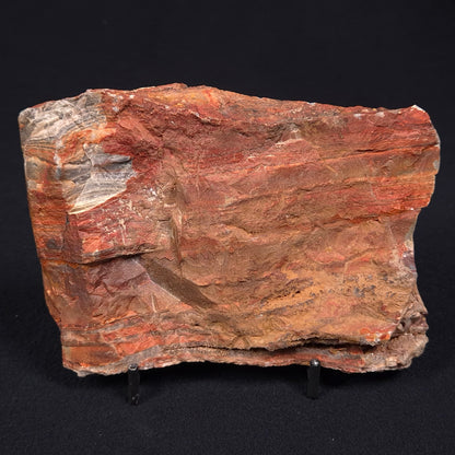 STROMATOLITE, Jerrinah Formation, Proterozoic, Australia ZJF006