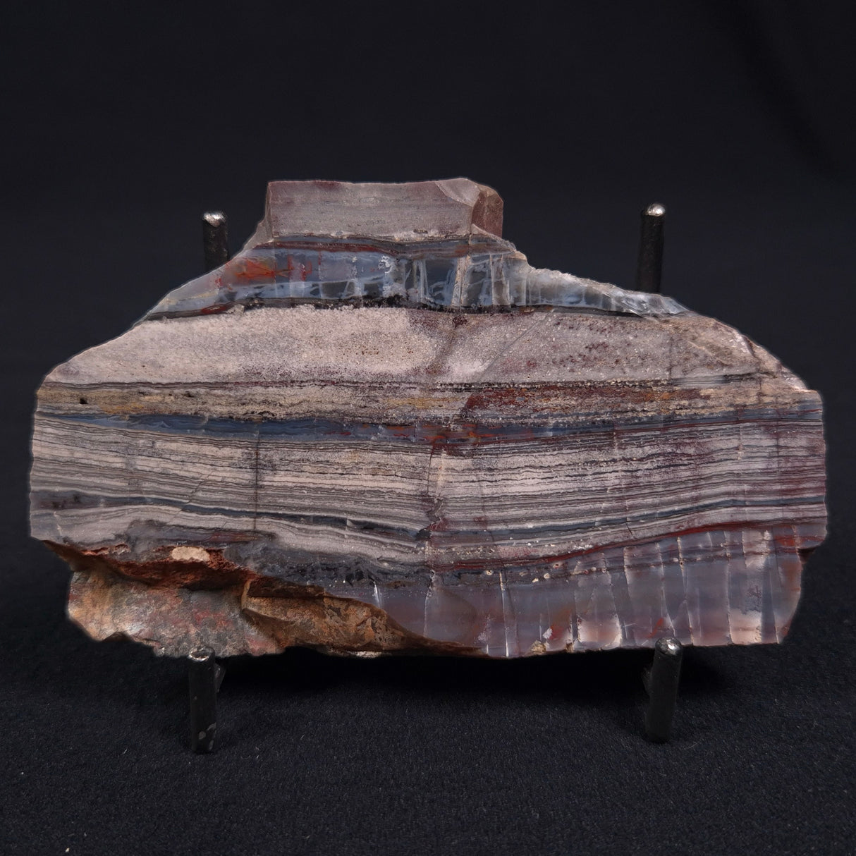 STROMATOLITE, Jerrinah Formation, Proterozoic, Australia ZJF007