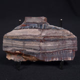 STROMATOLITE, Jerrinah Formation, Proterozoic, Australia ZJF007