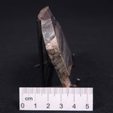 STROMATOLITE, Jerrinah Formation, Proterozoic, Australia ZJF007