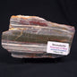 Stromatolite from the Jerrinah Formation ZJF008