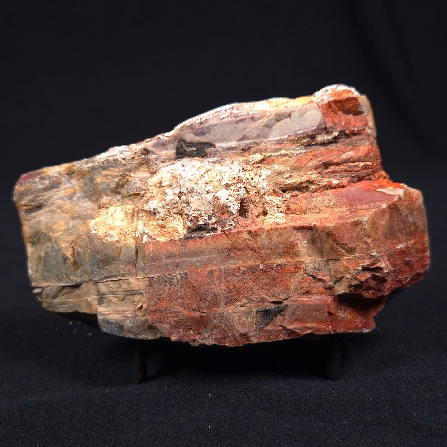 Stromatolite from the Jerrinah Formation ZJF008