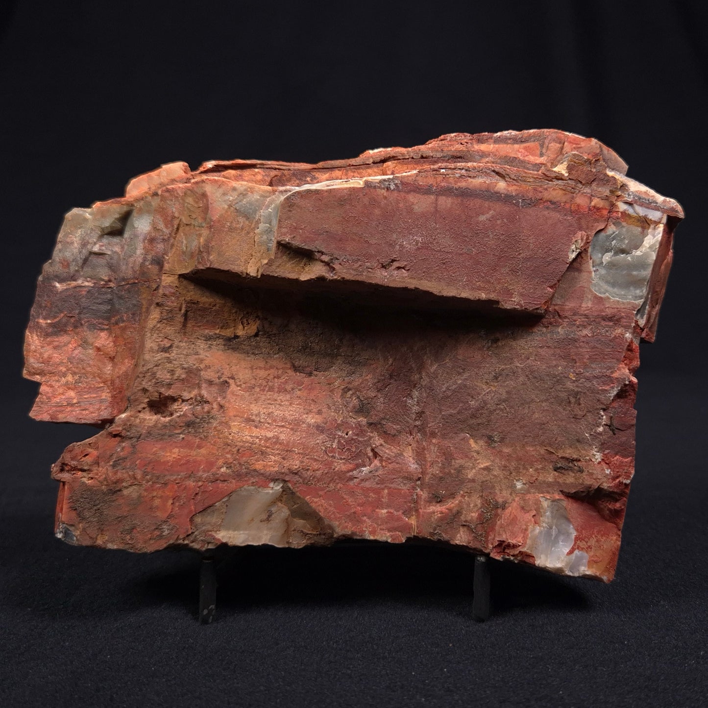 STROMATOLITE, Jerrinah Formation, Proterozoic, Australia ZJF009