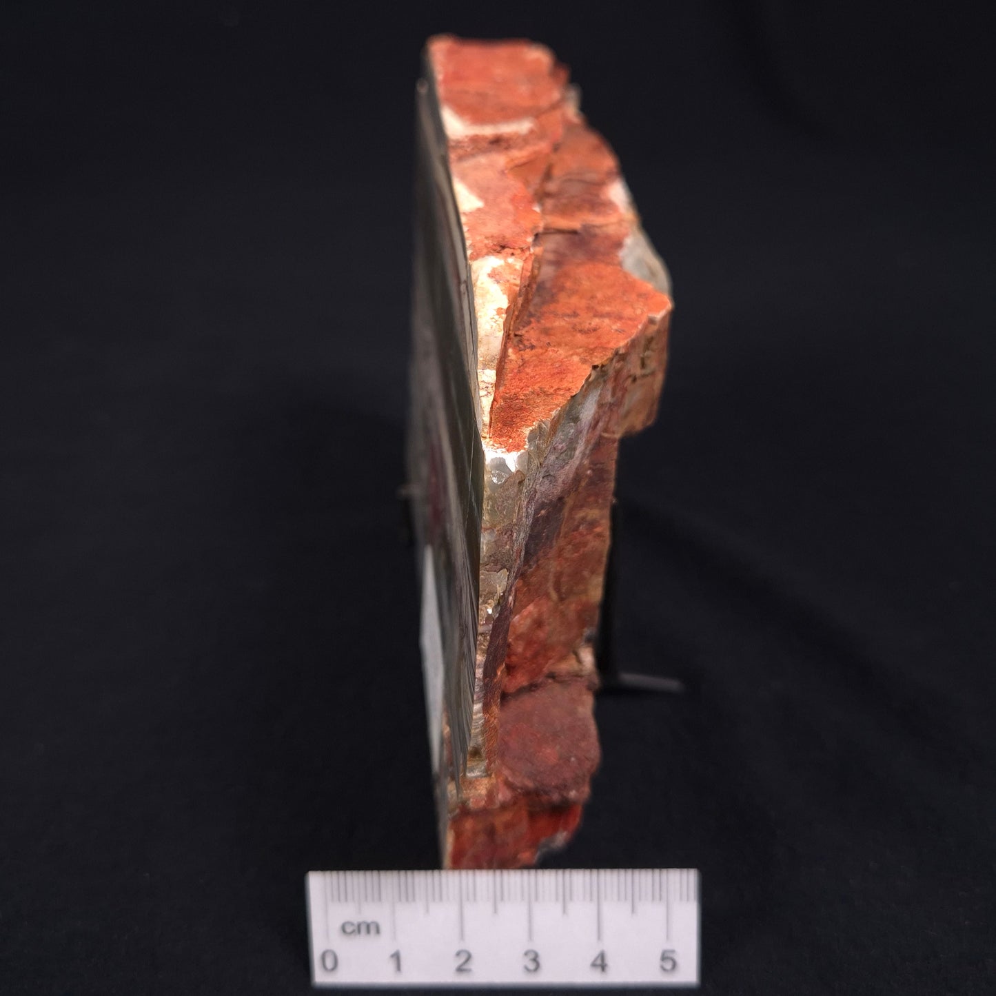 STROMATOLITE, Jerrinah Formation, Proterozoic, Australia ZJF009