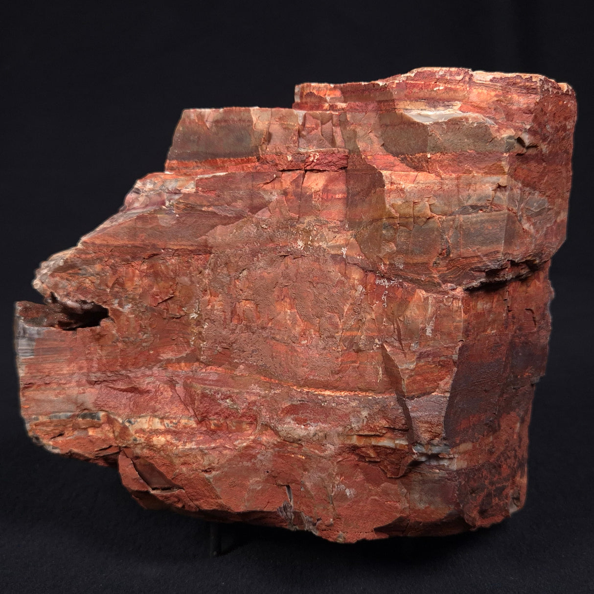 STROMATOLITE, Jerrinah Formation, Proterozoic, Australia ZJF010