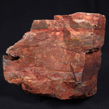 STROMATOLITE, Jerrinah Formation, Proterozoic, Australia ZJF010
