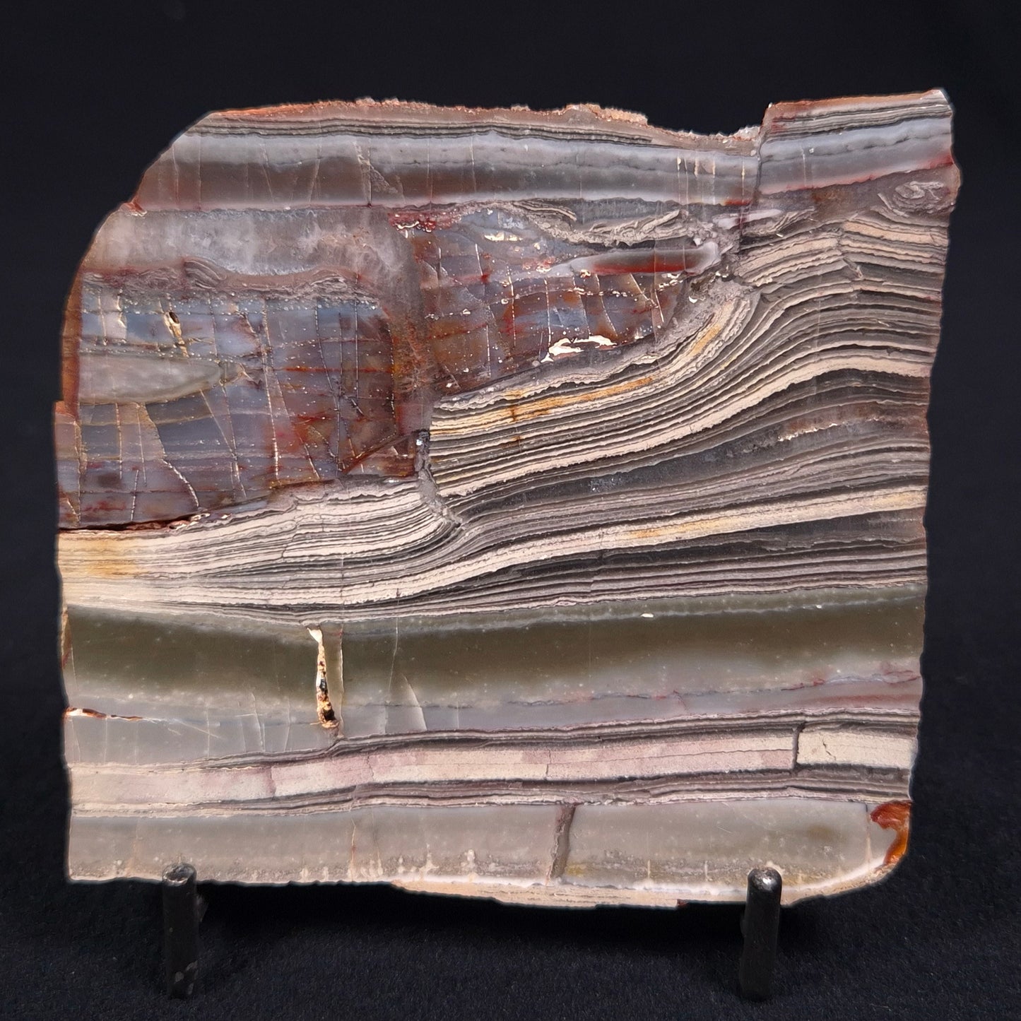 Stromatolite from the Jerrinah Formation, Australia ZJF011