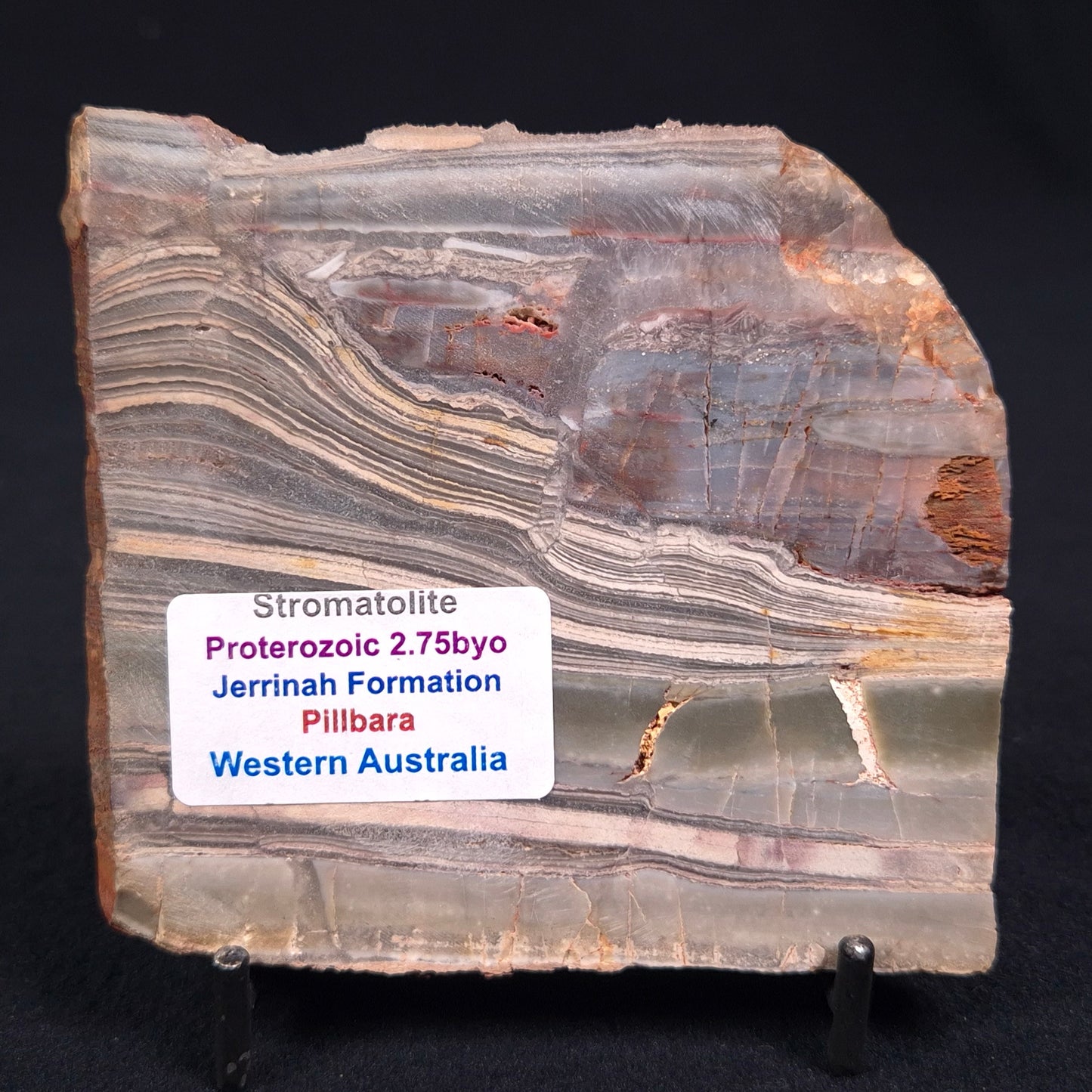 Stromatolite from the Jerrinah Formation, Australia ZJF011