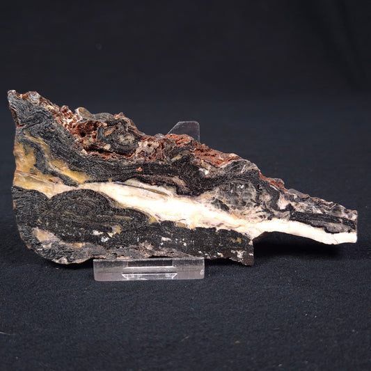 STROMATOLITE MICROBIAL MAT, Archean, Dresser Formation, Australia ZDF002
