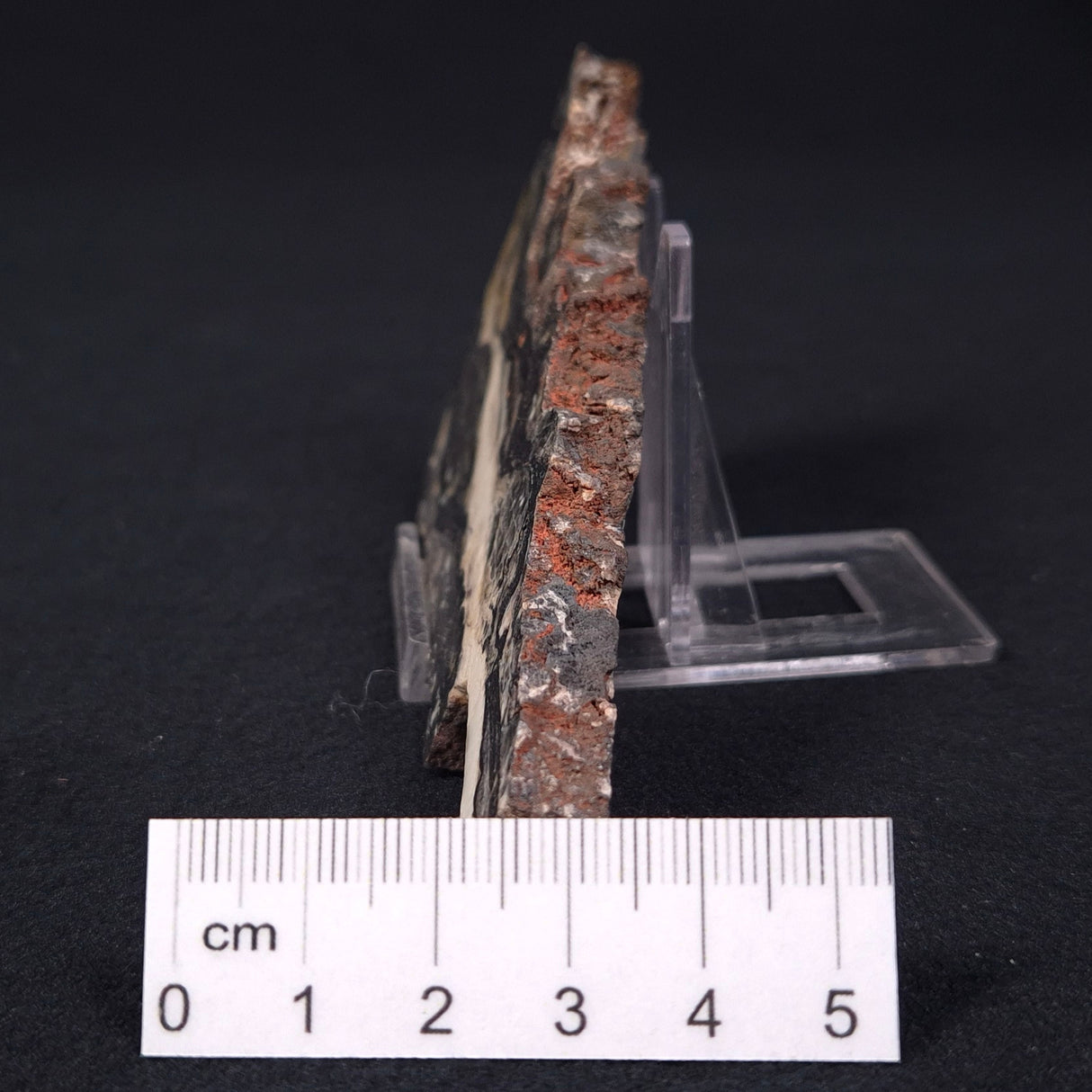 STROMATOLITE MICROBIAL MAT, Archean, Dresser Formation, Australia ZDF002