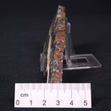 STROMATOLITE MICROBIAL MAT, Archean, Dresser Formation, Australia ZDF002