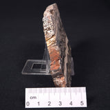 STROMATOLITE MICROBIAL MAT, Archean, Dresser Formation, Australia ZDF003