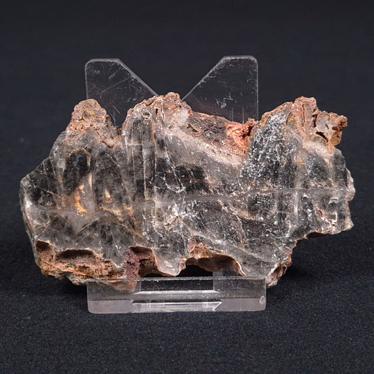 STROMATOLITE MICROBIAL MAT, Archean, Dresser Formation, Australia ZDF006