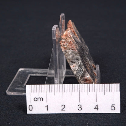 STROMATOLITE MICROBIAL MAT, Archean, Dresser Formation, Australia ZDF006