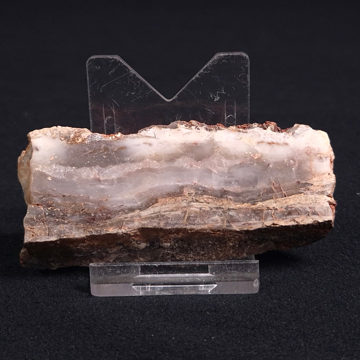 STROMATOLITE MICROBIAL MAT, Archean, Dresser Formation, Australia ZDF008