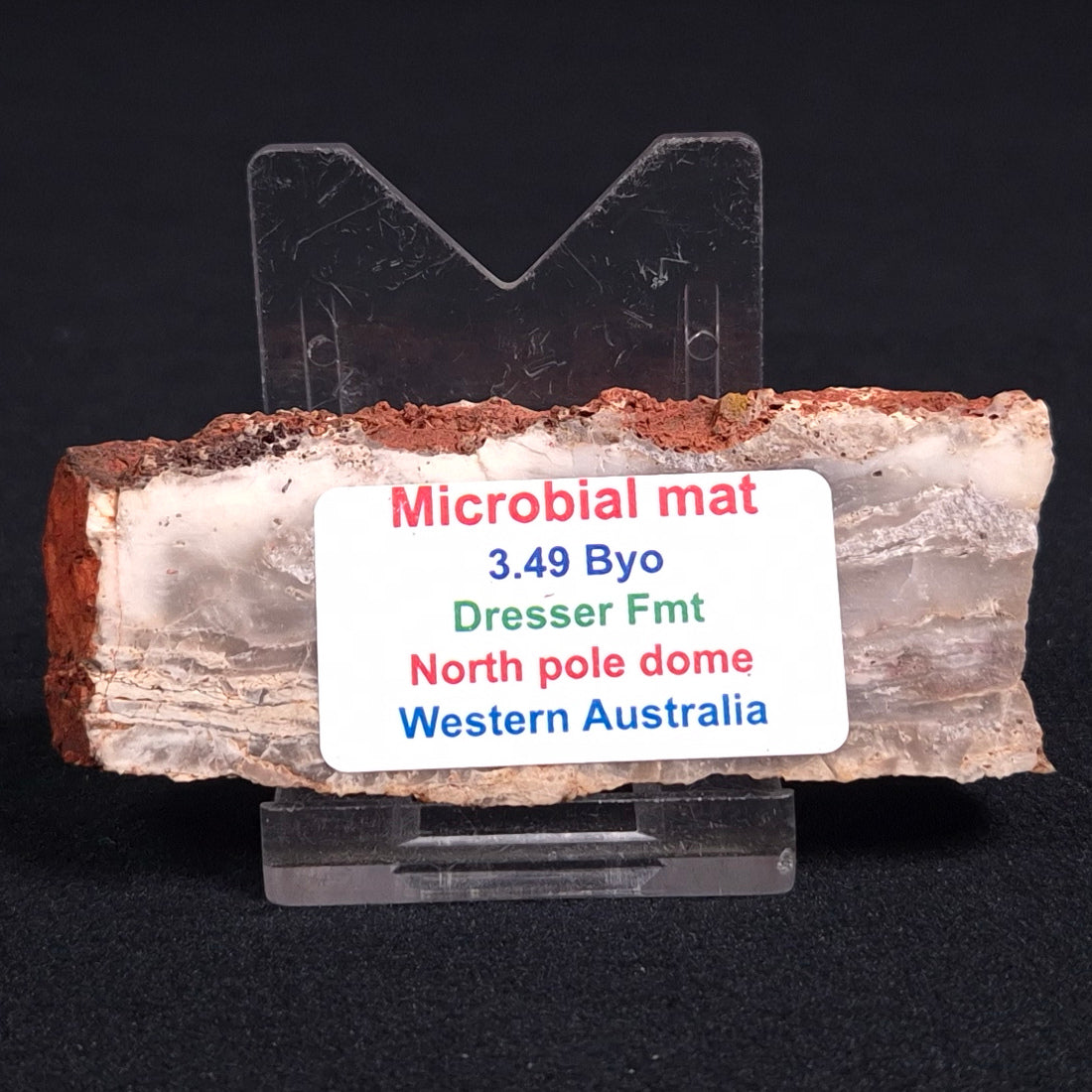 STROMATOLITE MICROBIAL MAT, Archean, Dresser Formation, Australia ZDF008