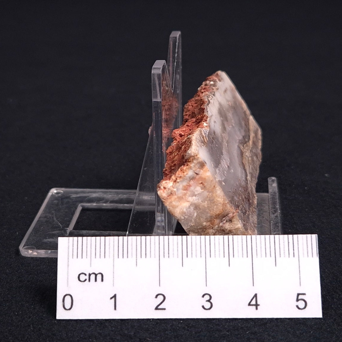 STROMATOLITE MICROBIAL MAT, Archean, Dresser Formation, Australia ZDF008