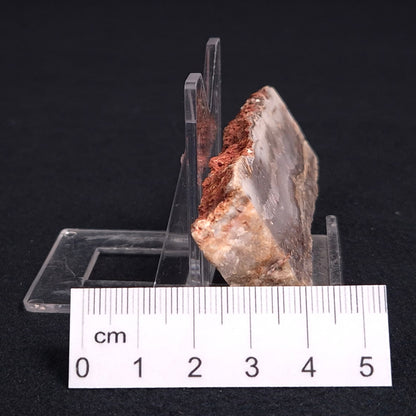 STROMATOLITE MICROBIAL MAT, Archean, Dresser Formation, Australia ZDF008