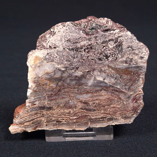 STROMATOLITE MICROBIAL MAT, Archean, Dresser Formation, Australia ZDF009