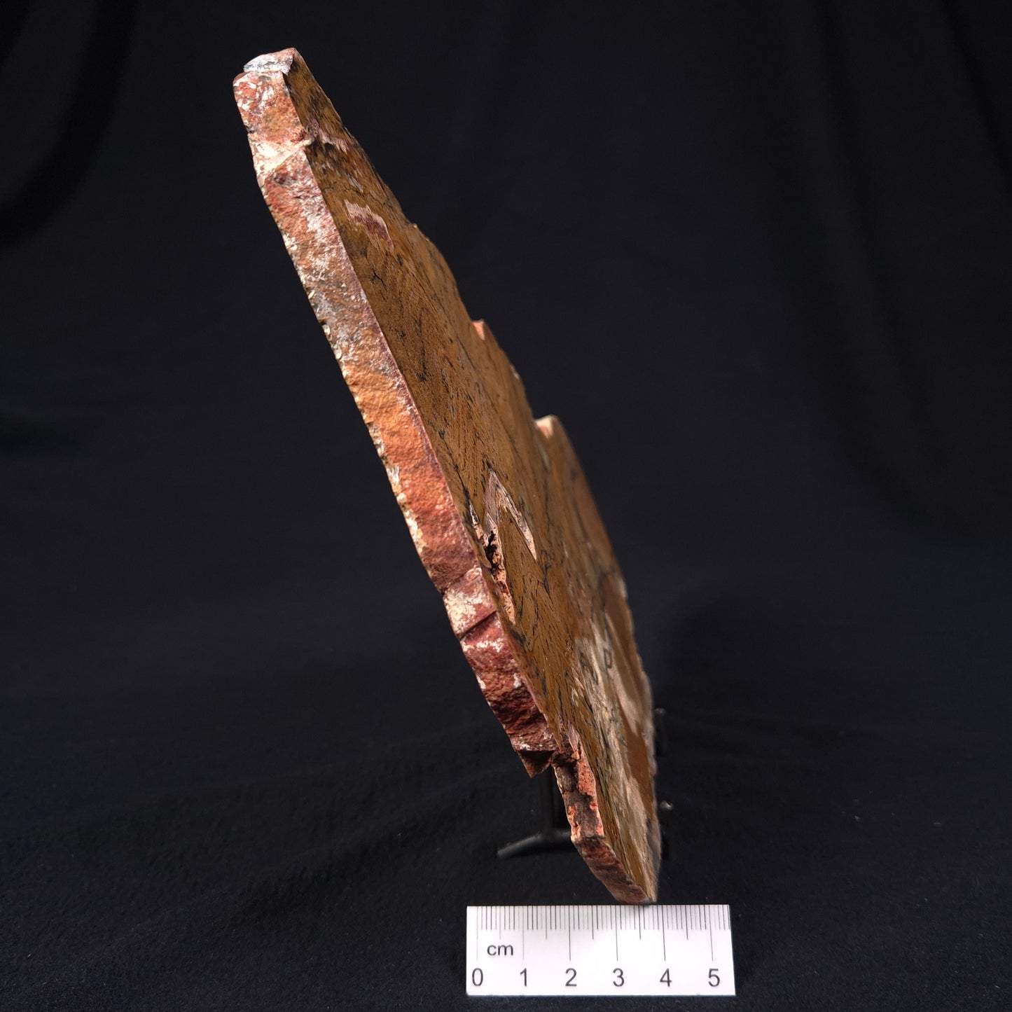STROMATOLITE MICROBIAL MAT, Strelley Pool Formation, Archean, Australia ZSP003